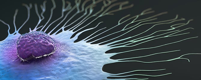 Tumor Markers: How Clinicians Use CA19-9, CA125 and CEA in 2026