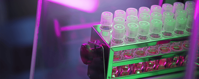 WHX Labs Dubai 2026 | February 2026