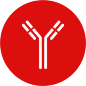 Antibodies